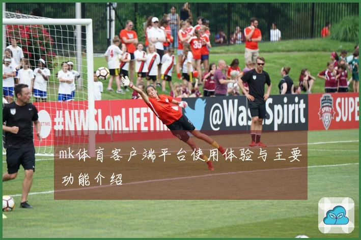mk体育客户端平台使用体验与主要功能介绍