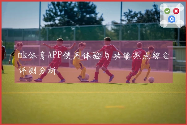 mk体育APP使用体验与功能亮点综合评测分析